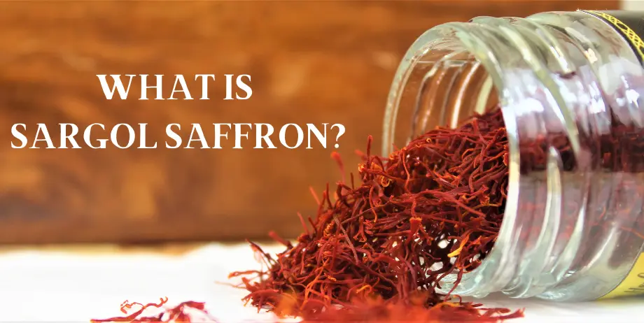 WHAT IS SARGOL SAFFRON 1