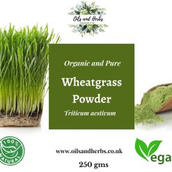 Wheat grass powder