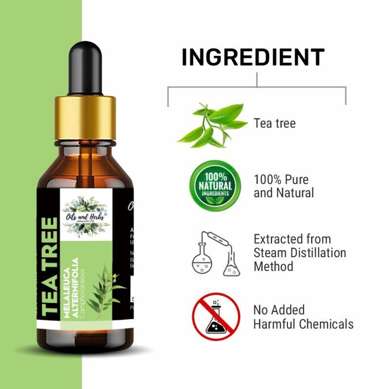 Tea tree oil ingredient