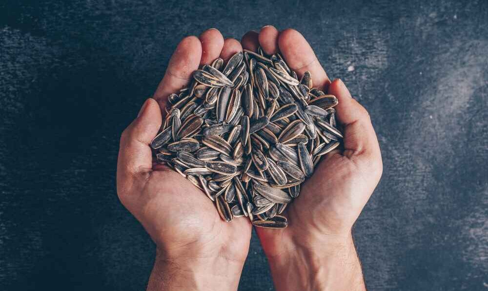 10 Proven Health Benefits of Sunflower Seeds You Should Know