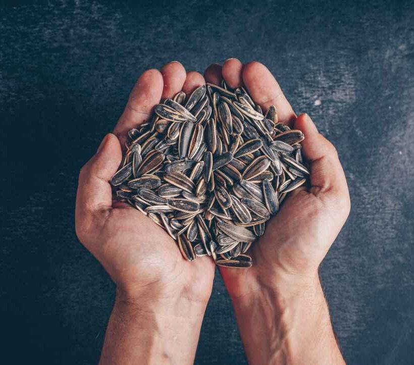 10 Proven Health Benefits of Sunflower Seeds You Should Know