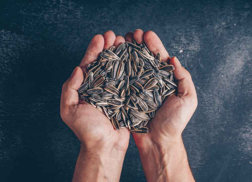 10 Proven Health Benefits of Sunflower Seeds You Should Know