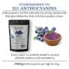 High Strength Bilberry Extract Powder Anthocyanin>25%