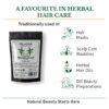 Sun Dried Bhringraj Leaf Powder - False Daisy -100% Pure, Clean and Natural 14 Sun Dried Bhringraj Leaf Powder - False Daisy -100% Pure, Clean and Natural