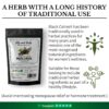 High Strength Black Cohosh Extract Powder 10:1 - Natural and Pure