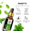 Natural Basil Essential Oil 100% Pure and Therapeutic Grade