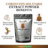 CORDYCEPS MILITARIS_benefits (1)