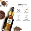 Natural Clove Essential Oil 100% Pure