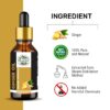 Ginger Essential Oil 100% Pure and Natural