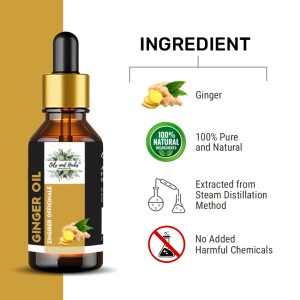 Ginger Essential Oil 100% Pure and Natural