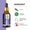 Natural Lavender Essential Oil 100% Pure & Therapeutic Grade