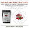 Organic Cranberry Extract Powder – High in Anthocyanins & Lab-Tested Quality 10 Organic Cranberry Extract Powder – High in Anthocyanins & Lab-Tested Quality