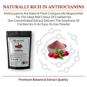 Alternative view of Organic Cranberry Extract Powder – High in Anthocyanins & Lab-Tested Quality