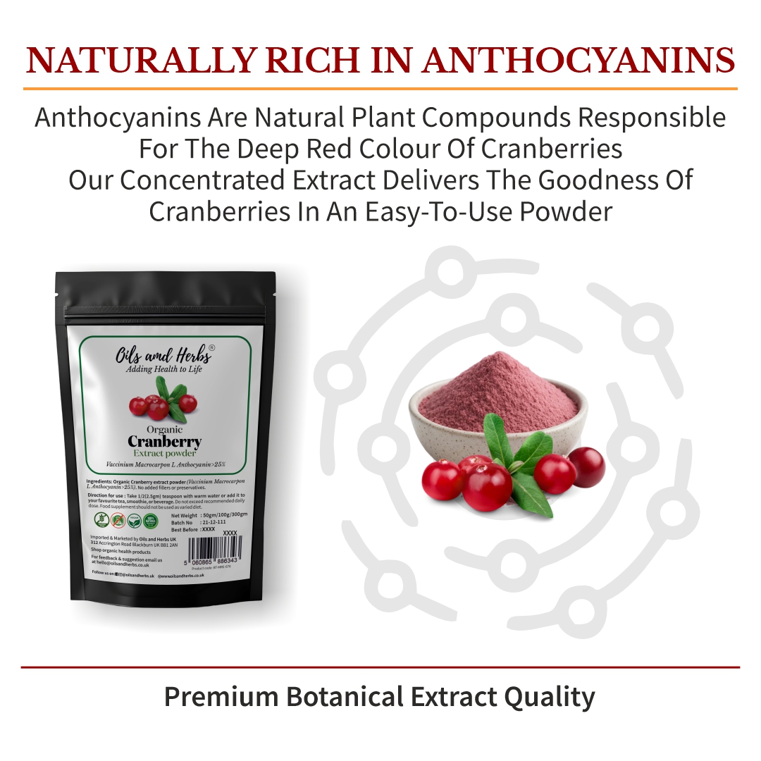 Organic Cranberry Extract Powder – High in Anthocyanins & Lab-Tested Quality 2 Organic Cranberry Extract Powder – High in Anthocyanins & Lab-Tested Quality - Image 2