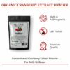 Organic Cranberry Extract Powder – High in Anthocyanins & Lab-Tested Quality 12 Organic Cranberry Extract Powder – High in Anthocyanins & Lab-Tested Quality