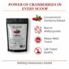 Organic Cranberry Extract Powder – High in Anthocyanins & Lab-Tested Quality 15 Organic Cranberry Extract Powder – High in Anthocyanins & Lab-Tested Quality