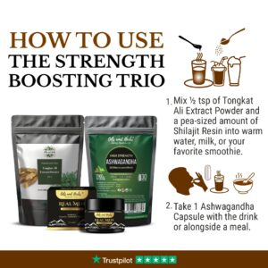 STRENGTH BOOSTING TRIO_HOW TO USE