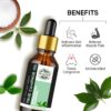 True Camphor Essential Oil 100% Pure and Natural