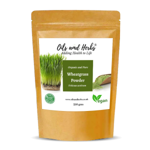 Clean Organic Wheatgrass Powder for Juice