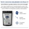 High Strength Bilberry Extract Powder Anthocyanin>25%