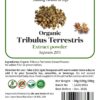 Organic Tribulus Terrestris Extract Powder