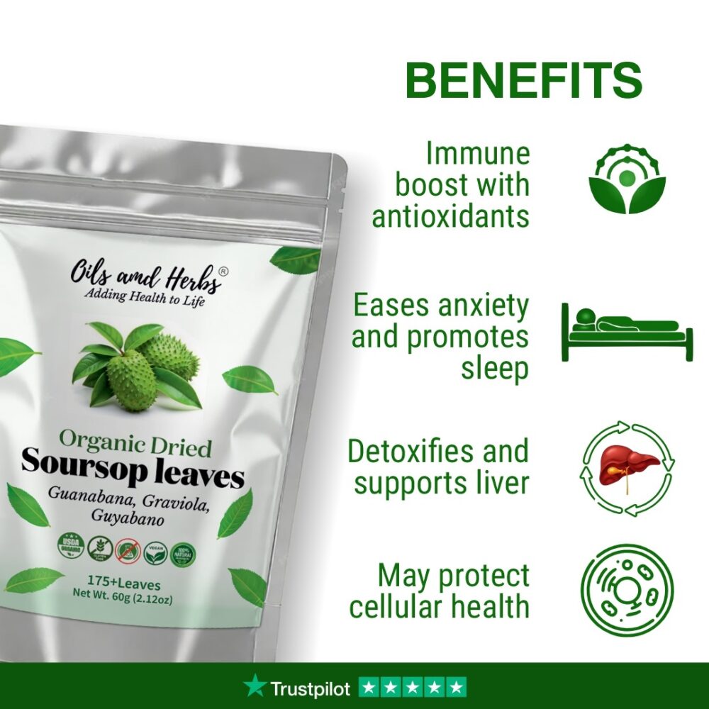 Organic Soursop Dried Leaves and tea (Graviola Leaves) - Image 5