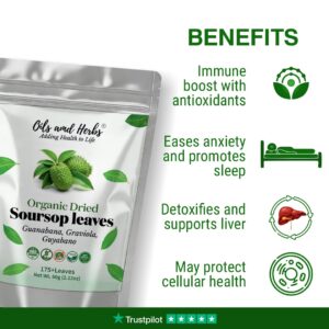 Benefits of Soursop Leaves