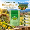 Mullein Leaf Tea – Eu Grown Pure & Natural Herbal Infusion 17 Mullein Leaf Tea – Eu Grown Pure & Natural Herbal Infusion - Image 6
