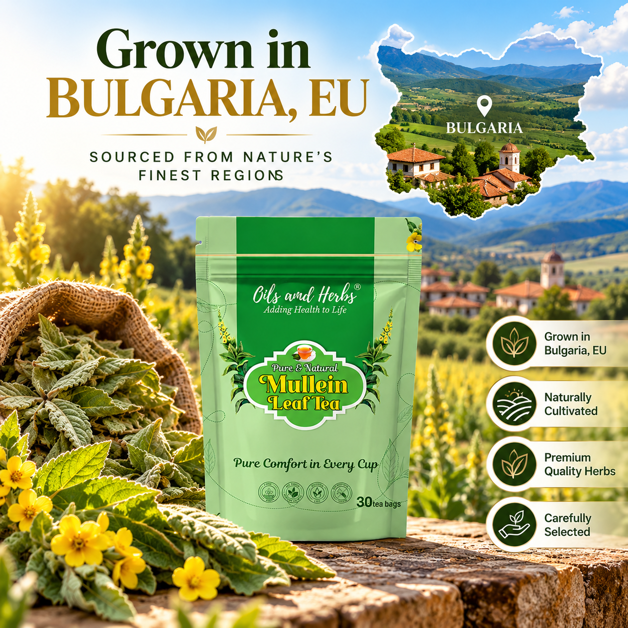 Mullein Leaf Tea – Eu Grown Pure & Natural Herbal Infusion 6 Mullein Leaf Tea – Eu Grown Pure & Natural Herbal Infusion - Image 6