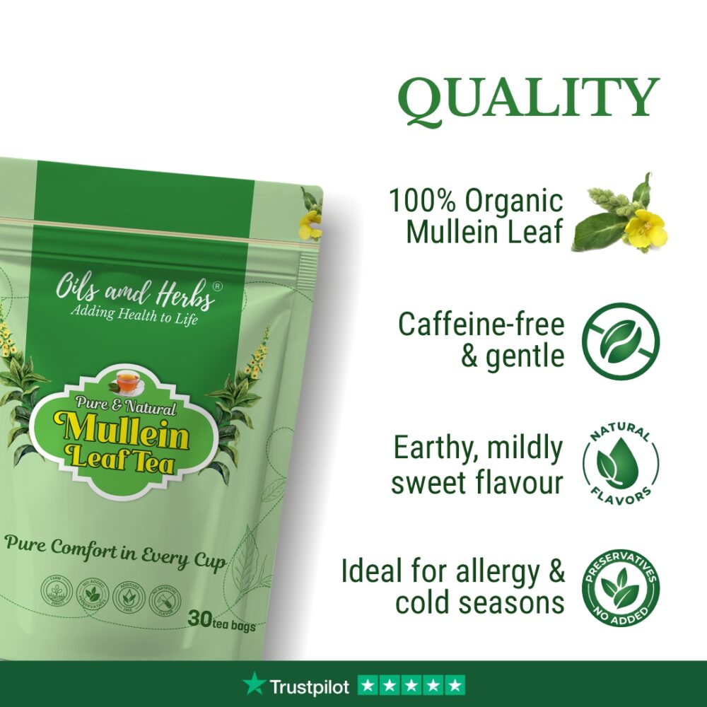 Mullein Tea – Pure & Natural Herbal Infusion - Image 4